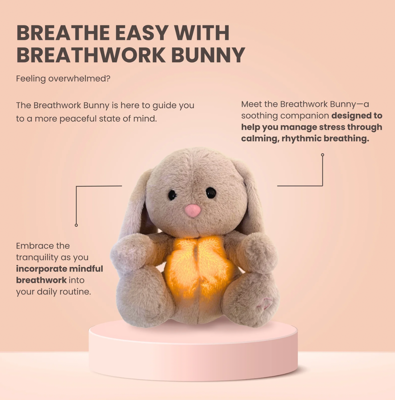 Huggable Bunny Breathing & Singing