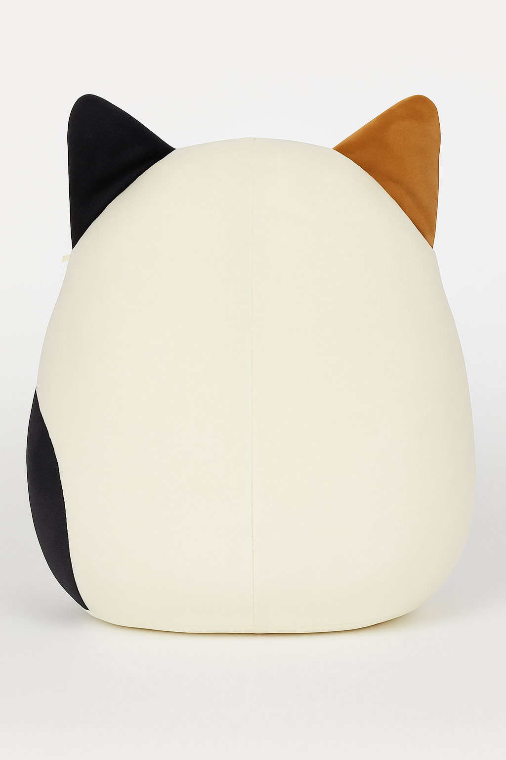 Cameron the Cat