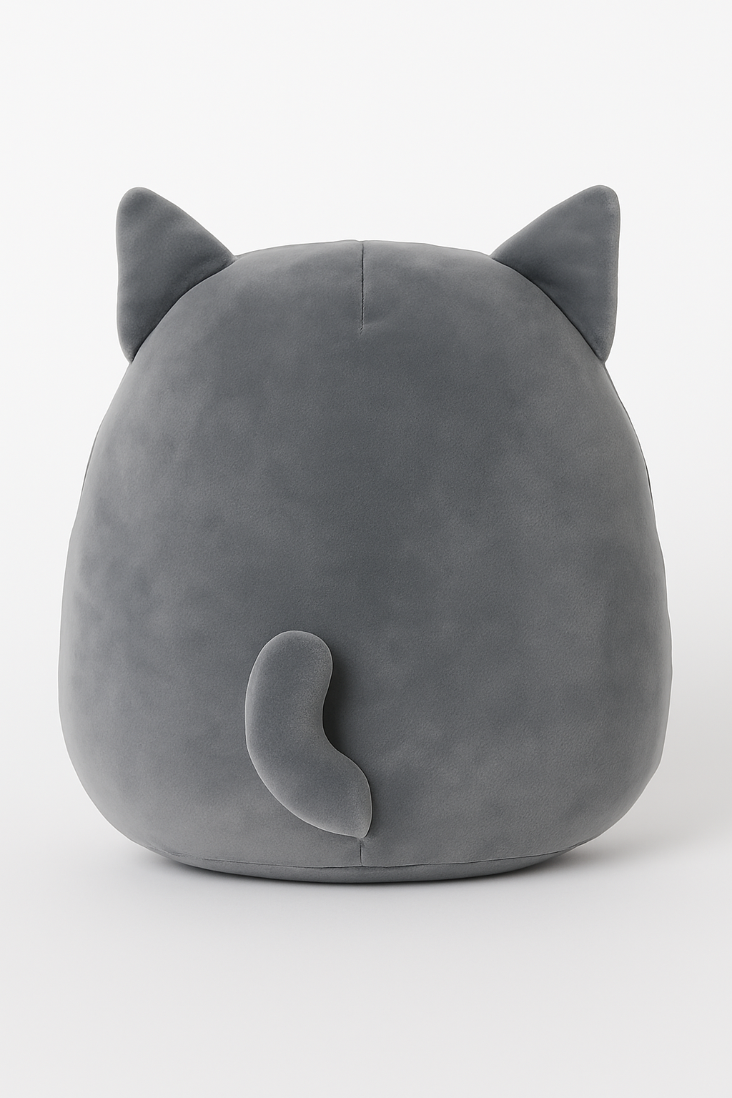 Tally the Grey Cat