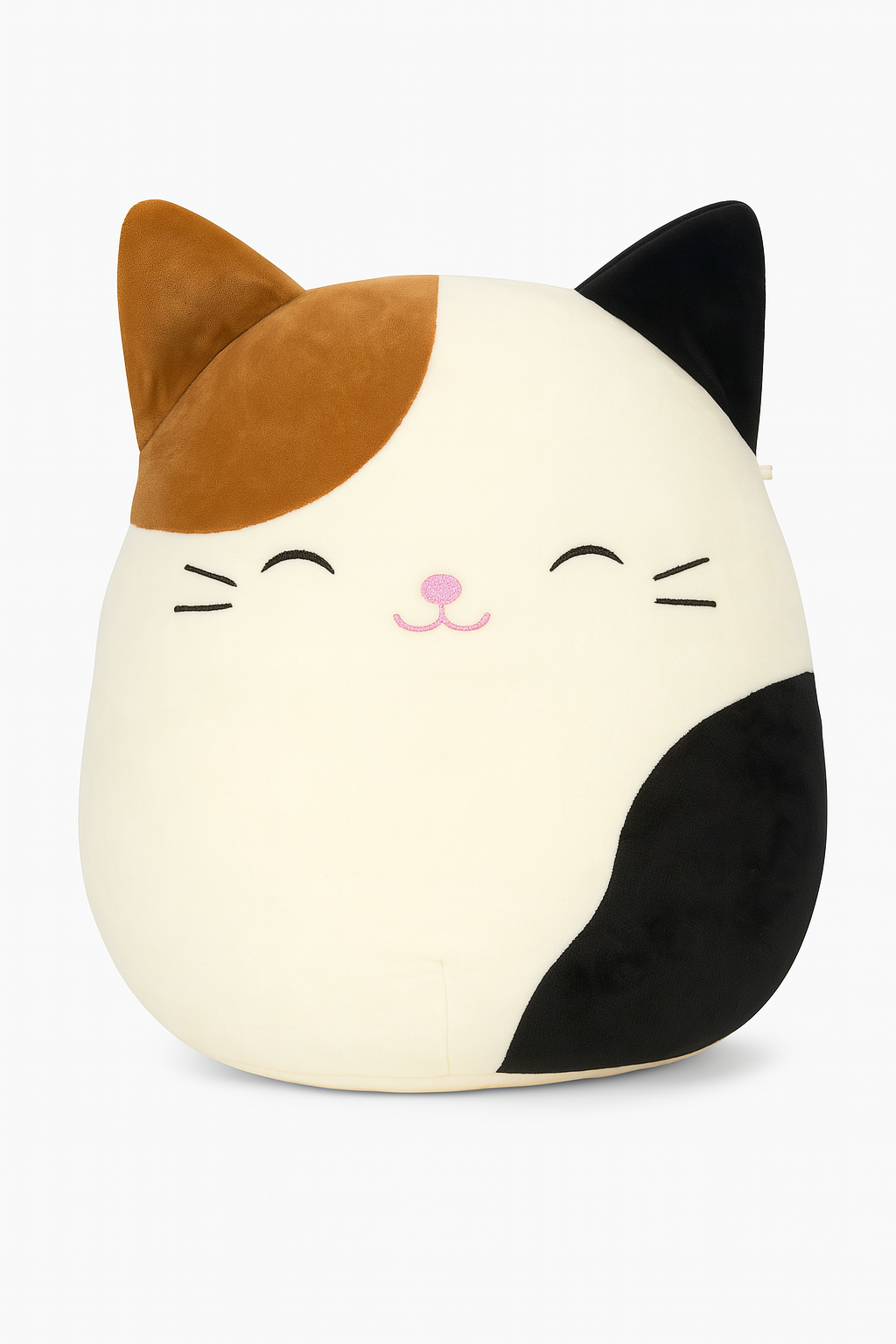 Cameron the Cat