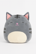 Tally the Grey Cat