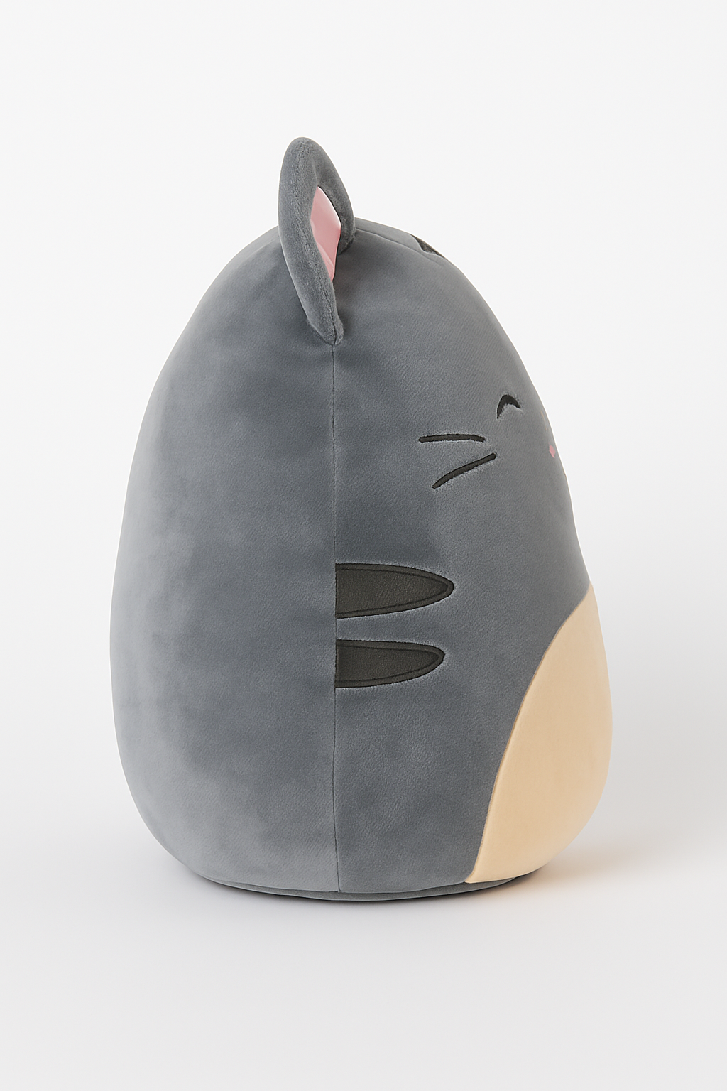 Tally the Grey Cat